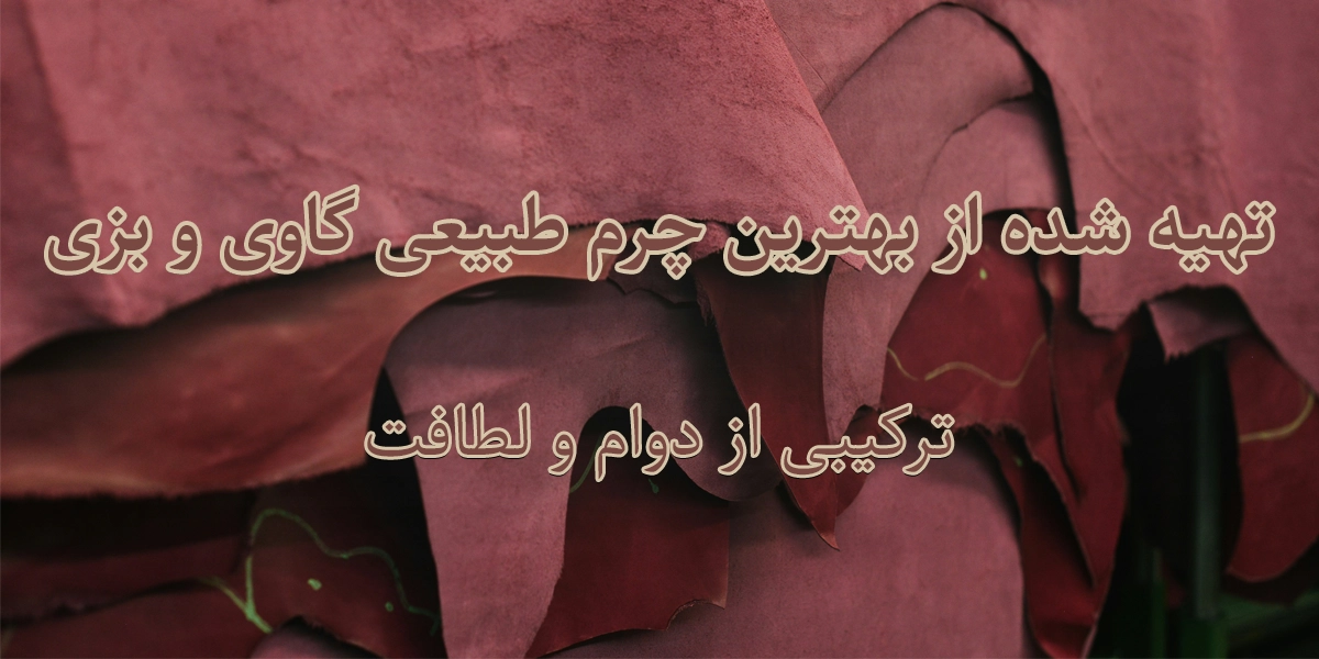 فروشگاه کفش چرمی آریامن